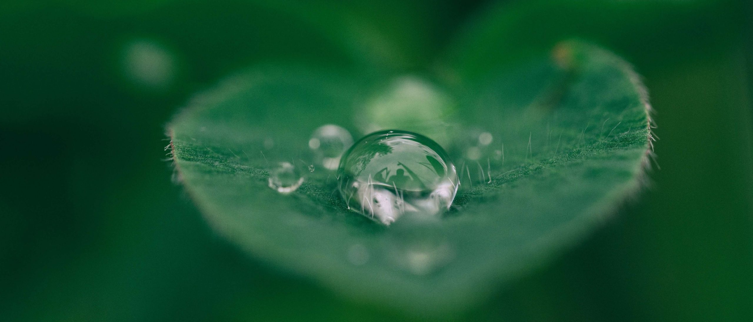 Fonds social de l’eau (FSE) - Paiement de vos factures d’eau