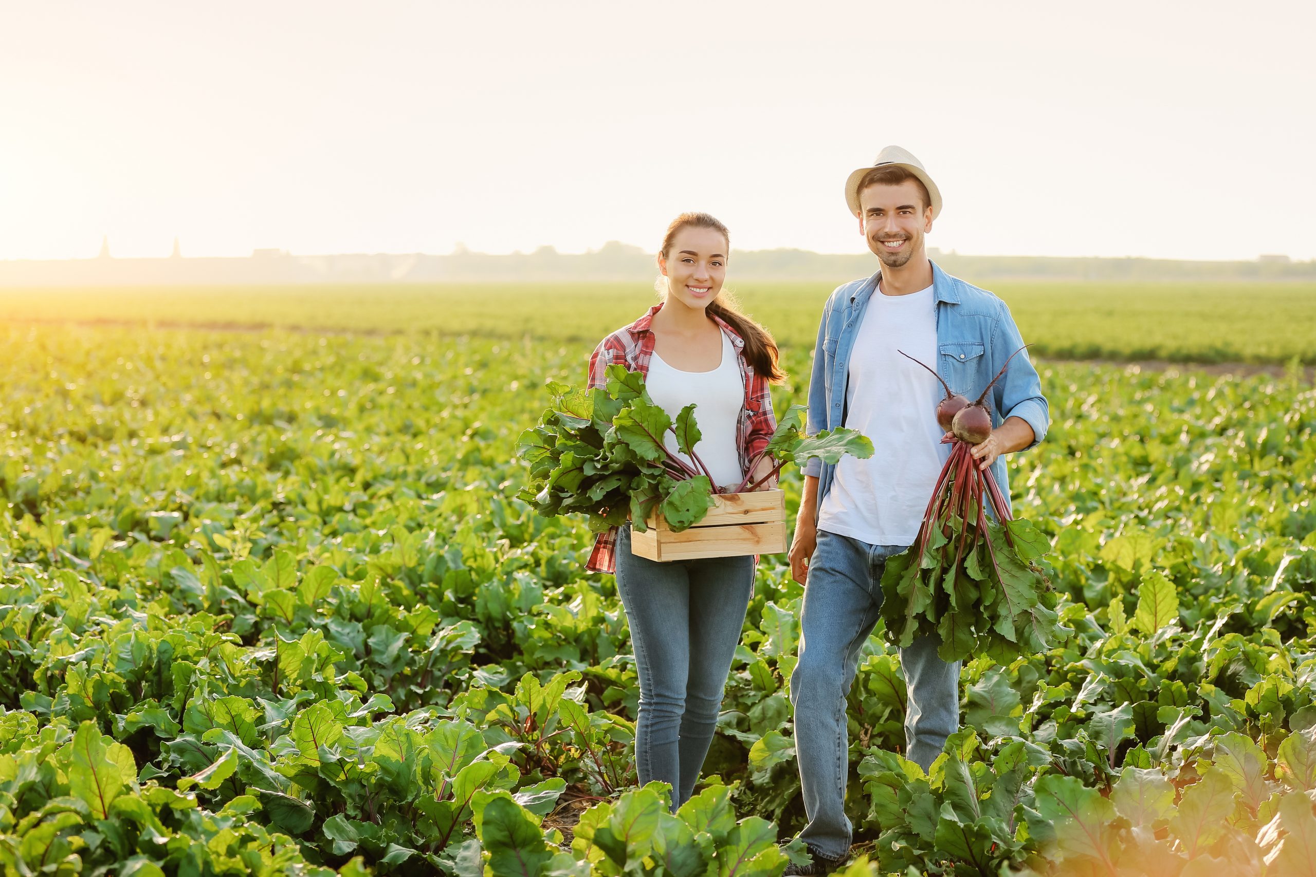 jeunes agriculteurs