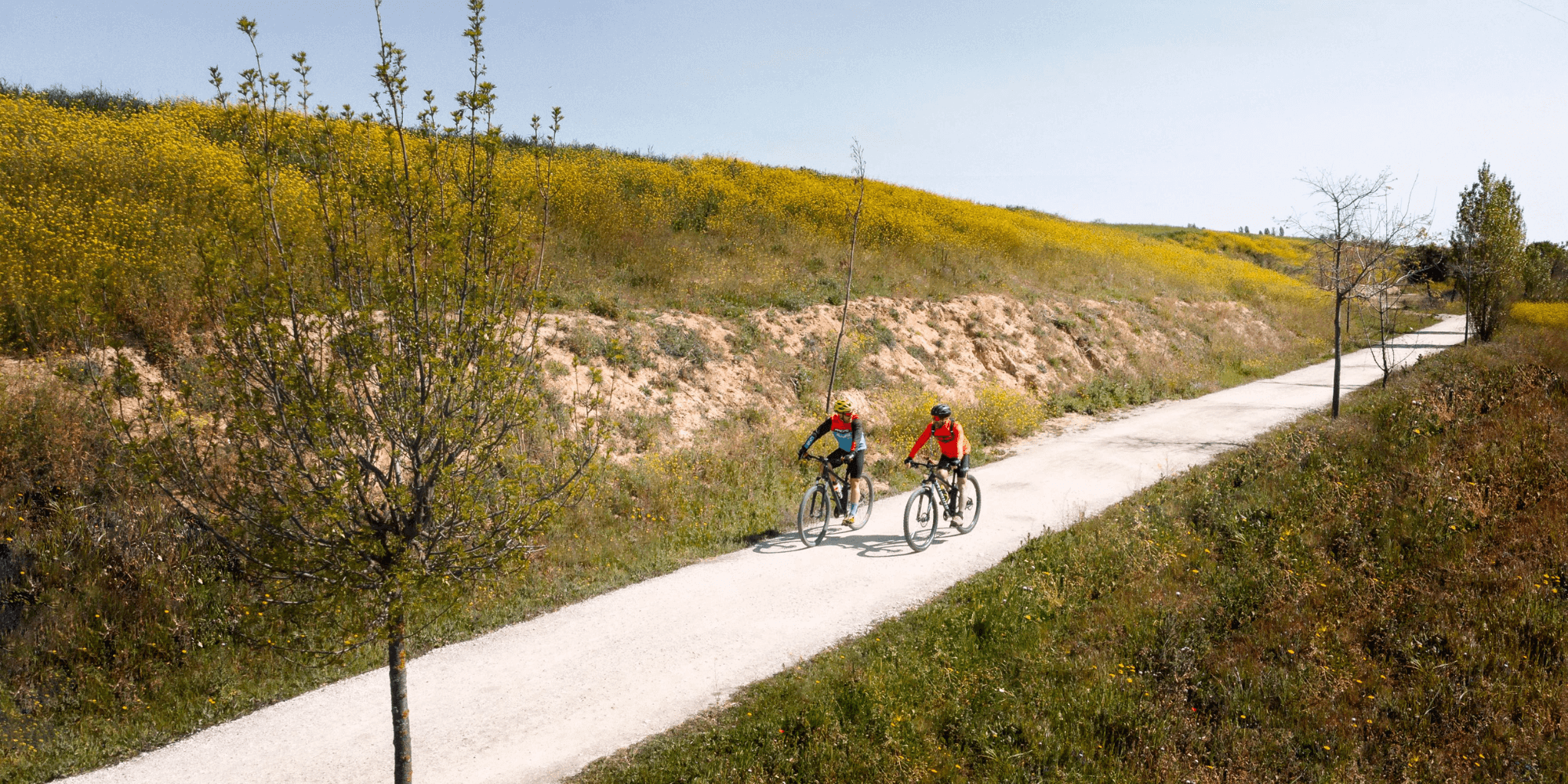 Vue d’une cyclostrade en Belgique avec des cyclistes circulant sur une piste sécurisée et séparée des voitures, illustrant la mobilité douce.