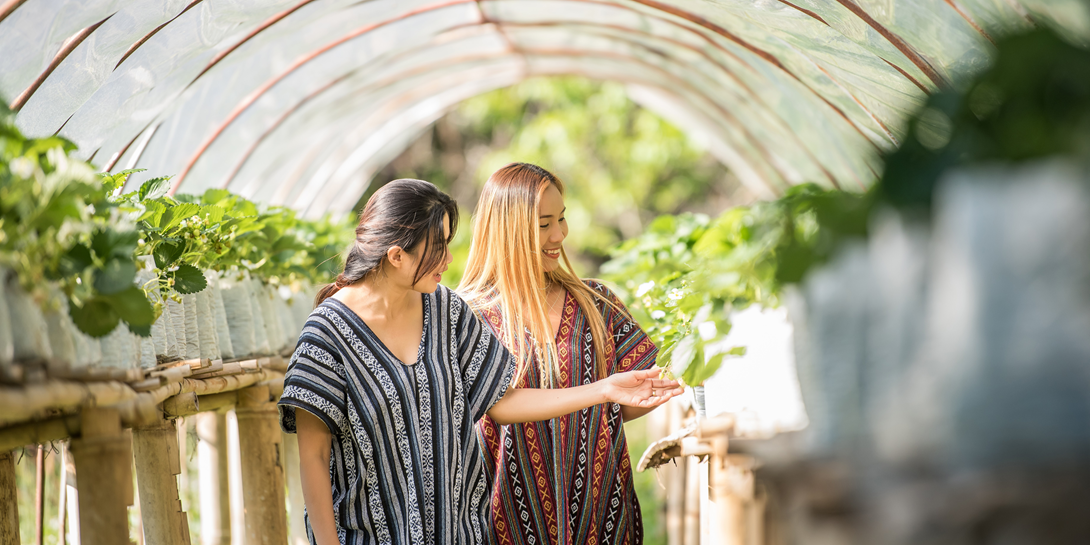 Illustration d’une ferme urbaine à Bruxelles, montrant des producteurs au travail et les initiatives de la FedeAU pour une agriculture durable.